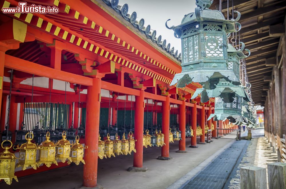 Immagine Lanterne al Kasuga Taisha di Nara, Giappone: l'interno di questo santuario shintoista è famoso per la presenza di centinaia di lanterne in bronzo e in pietra.