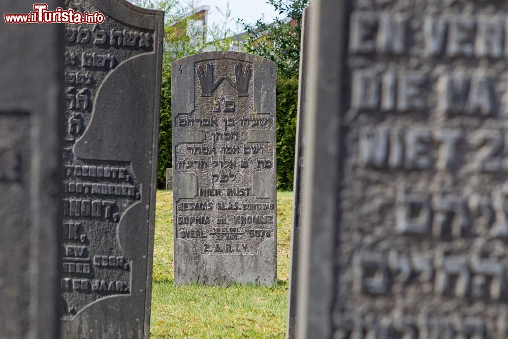 Immagine Lapidi al cimitero ebraico di Hilversum, Olanda - © Ronald Wilfred Jansen / Shutterstock.com