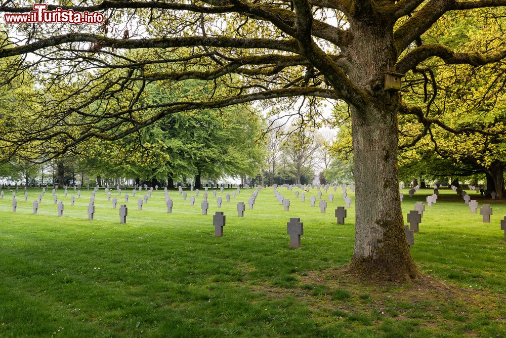 Immagine Lapidi al cimitero militare tedesco a Recogne-Bastogne, Belgio.