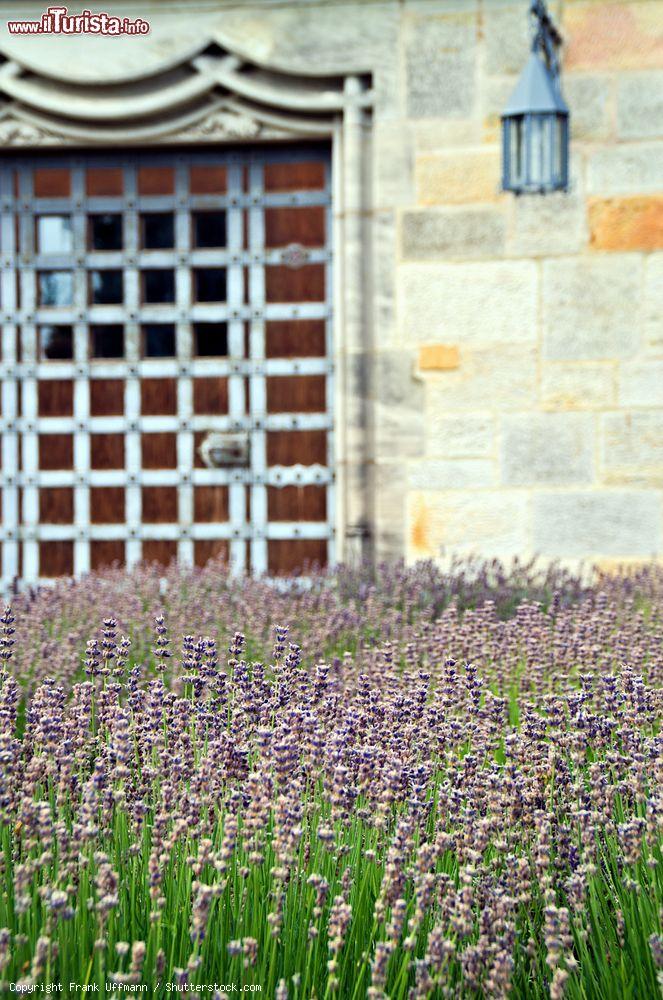 Immagine Lavanda all'esterno della fortezza di Coburgo, Germania. Il castello medievale sorge in cima alla collina e domina l'intera città - © Frank Uffmann / Shutterstock.com