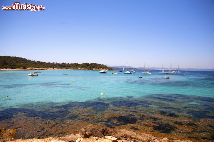 Immagine Le acque cristalline del Mediterraneo lambiscono la costa di Bandol, Francia - © Anna Biancoloto / Shutterstock.com