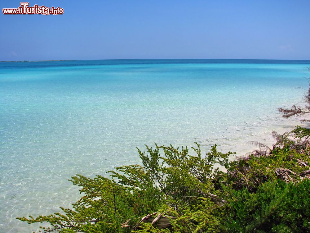 Immagine Le acque limpide della laguna di Cayo Guillermo, Cuba. Questi luoghi sono ideali per praticare lo snorkeling
