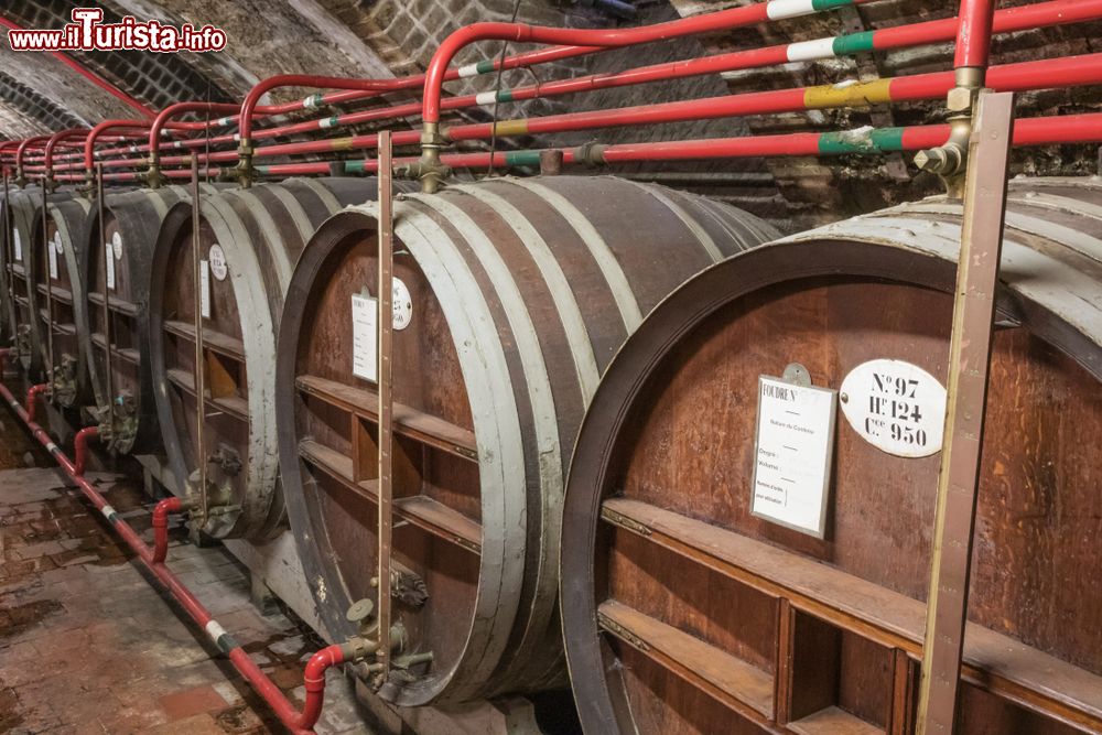 Immagine Fécamp: le botti del famoso Liqueur Bénédictine nella cantina del Palais Bénédictine, dove viene prodotto.