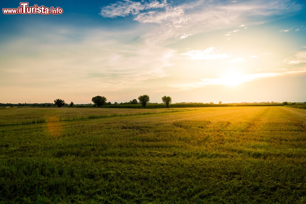 Immagine Le campagne che circondano Buttrio, provicia di Udine, Friuli Venezia Giulia