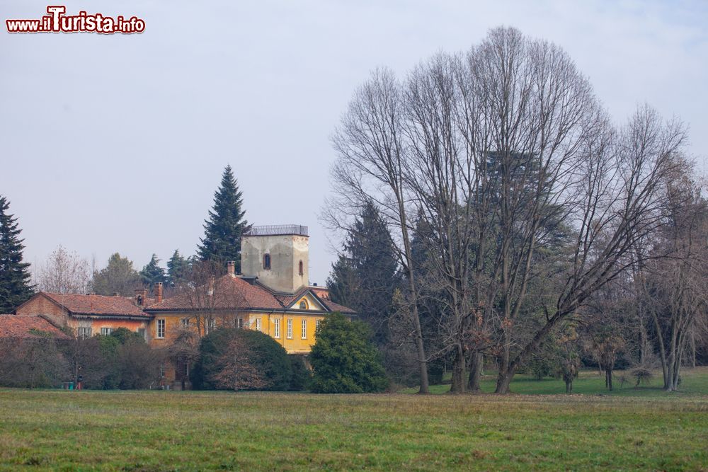 Immagine Le campagne della Brianza intorno a Seveso (Lombardia)