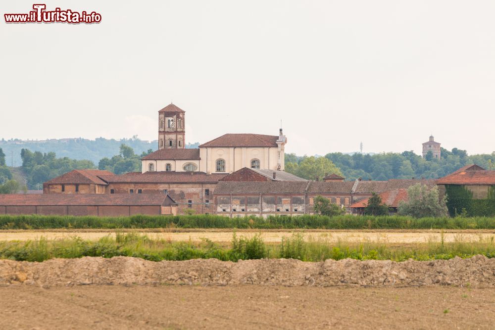 Immagine Le campagne di Trino Vercellese e l'Abbazia di Lucedio in Piemonte