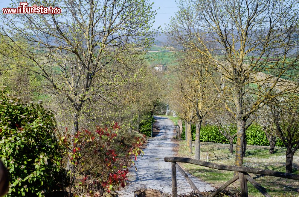 Immagine Le campagne intorno a Castelraimondo, Provincia di Macerata, Marche.