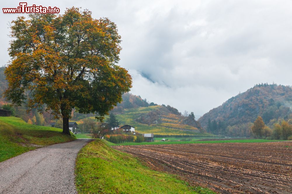 Immagine Le campagne intorno a Varna, provincia di Bolzano, Alto Adige