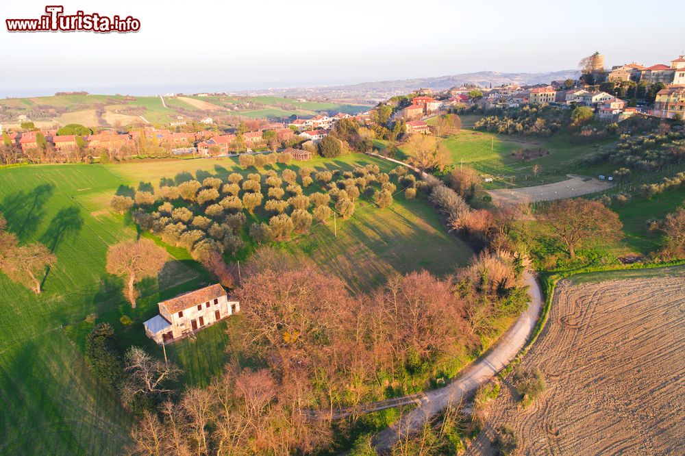 Immagine Le campagne intorno al borgo di Mondolfo nelle Marche