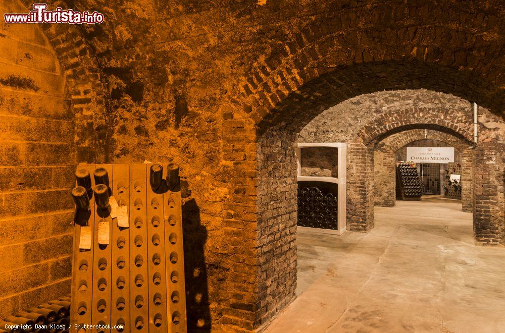 Immagine Le cantine dell'azienda Charles Mignon di Epernay, Francia - © Daan Kloeg / Shutterstock.com