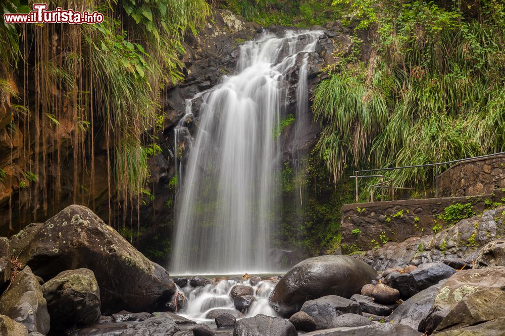 Immagine Le cascate Annandale a Grenada, America Centrale. A venti minuti di auto da St.Georges, in direzione nord-est, si trovano queste belle cascate con salti di dieci metri sulle rocce sottostanti. Nei pressi si trovano anche alcuni sentieri che portano a un giardino botanico.