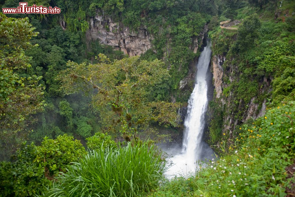 Immagine Le cascate di Xico nei pressi di Veracruz, Messico.