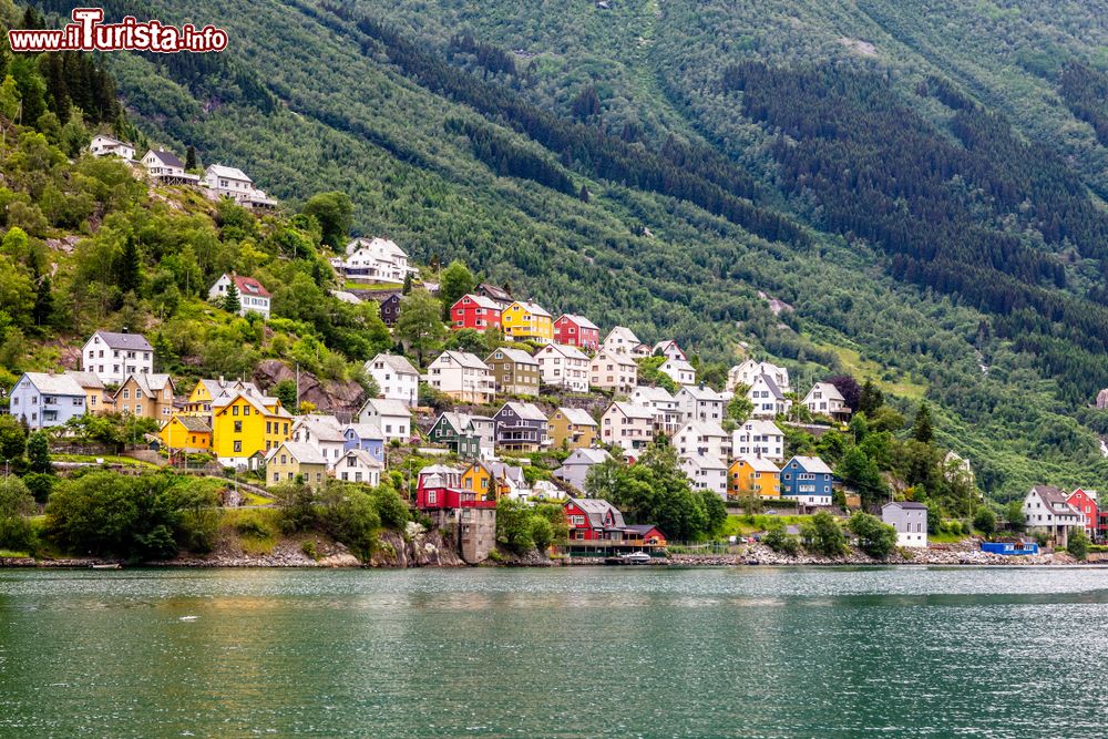Immagine Le case colorate di Odda sul Sorfjord in Norvegia