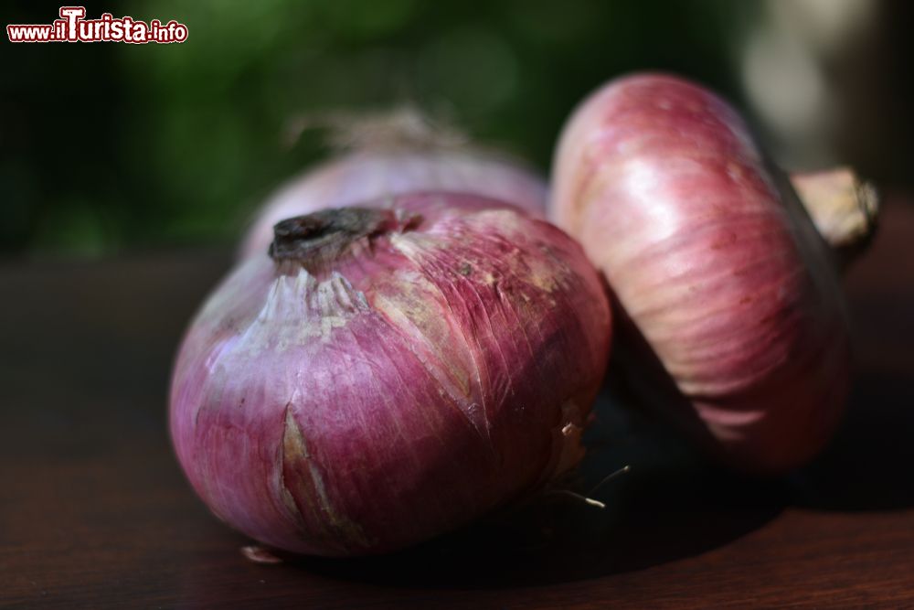 Immagine Le celebri cipolle rosse di Aquaviva delle Fonti in Puglia