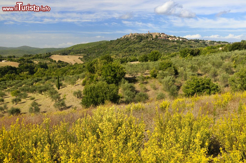 Immagine Le colline della Maremma nei dintorni di Civitella Paganico