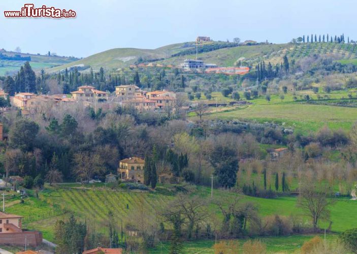 Immagine Le colline delle Crete Senesi a San GIovanni d'Asso, piccolo borgo della Toscana