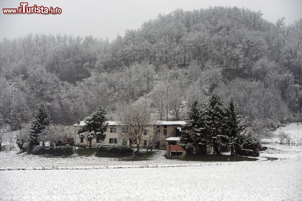 Immagine Le colline di Garbagna dopo una nevicata in inverno. Siamo in provincia di Alessandria, in Piemonte - © Paolo Bona / Shutterstock.com