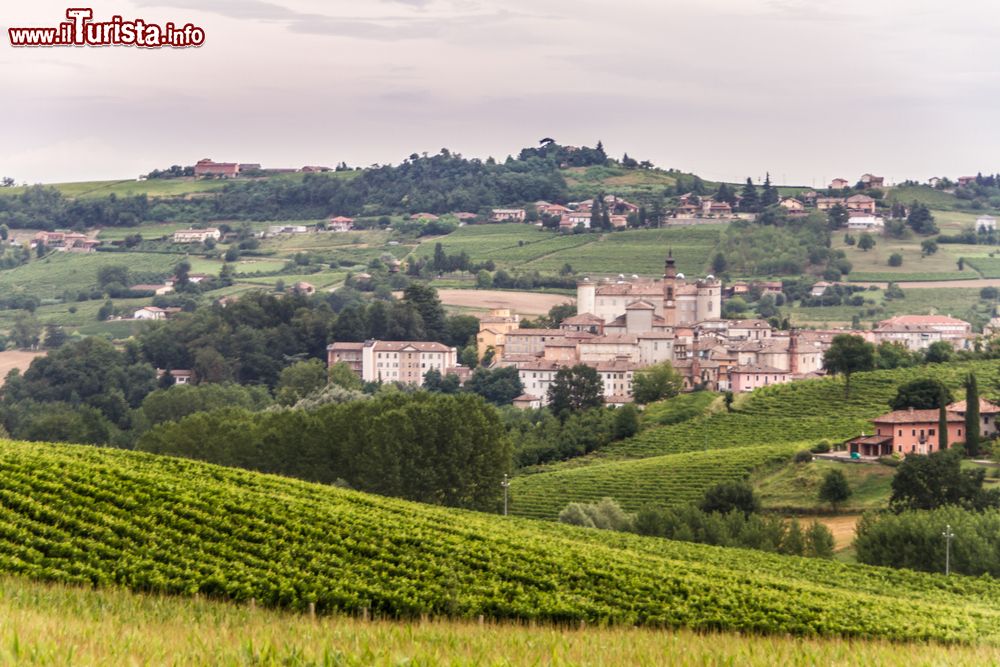 Immagine Le colline in Astesana, nel territorio di Costigliole in Piemonte