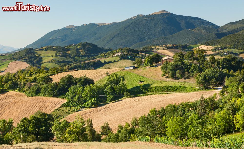 Immagine Le colline intorno a Fabriano fotografate in estate