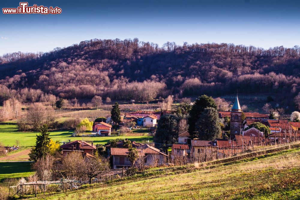 Immagine Le colline intorno a Saluzzola in Piemonte