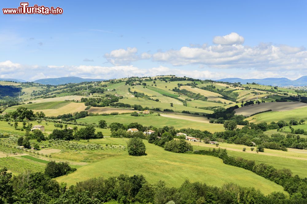 Immagine Le colline intorno ad Urbisaglia, borgo delle Marche