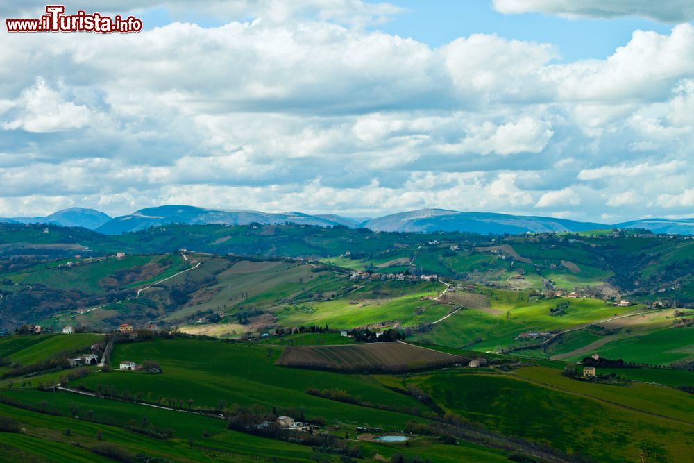 Immagine Le colline marchigiane nei dintorni di Servigliano, provincia di Fermo