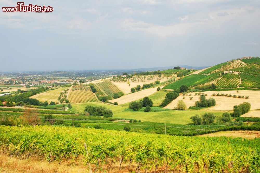 Immagine Le colline romagnole che circondano Santarcangelo di Romagna