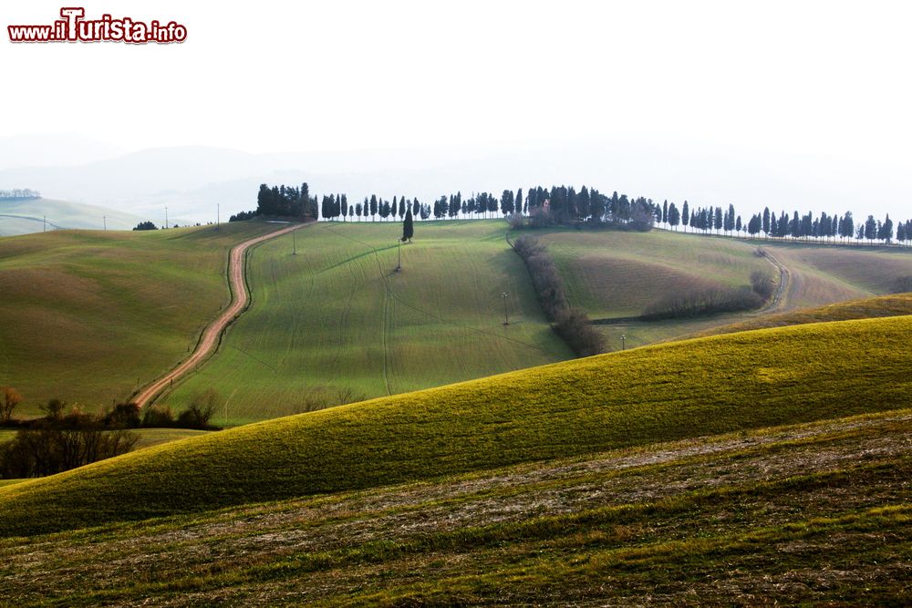 Immagine Le colline verdi toscane intorno a Lajatico