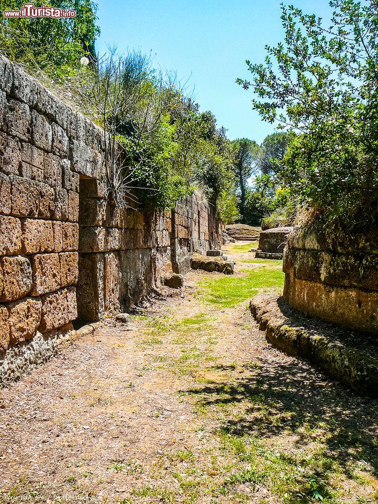Immagine Le imponenti mura della principale Necropoli di Cerveteri, la Banditaccia - © s74 / Shutterstock.com