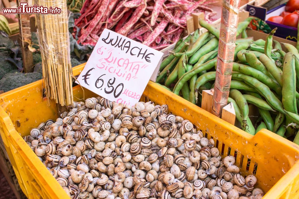 Immagine Le lumache sono uno dei prodotti tipici di Licata in Italia