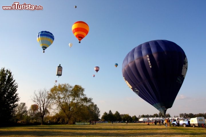 Immagine Il Ferrara Baloons Festival è uno degli eventi più attesi nella città emiliano-romagnola appartenuta agli Este. Ogni anno, nella prima metà di settembre, per una settimana il cielo sopra il Parco Urbano Bassani si riempie di grandi palloni colorati. Chi non ha il coraggio di volare può comunque divertirsi tra giochi, stand gastronomici e iniziative culturali - © Valeria73 / Shutterstock.com