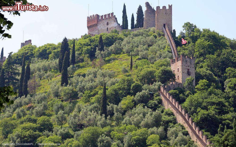 Immagine Le mura del castello di Marostica, Vicenza, Veneto. Lunga circa 1800 metri, la cinta muraria collega le due strutture che costituiscono il castello, quella Inferiore e quella Superiore. La loro costruzione risale al 1312 - © ChiccoDodiFC / Shutterstock.com