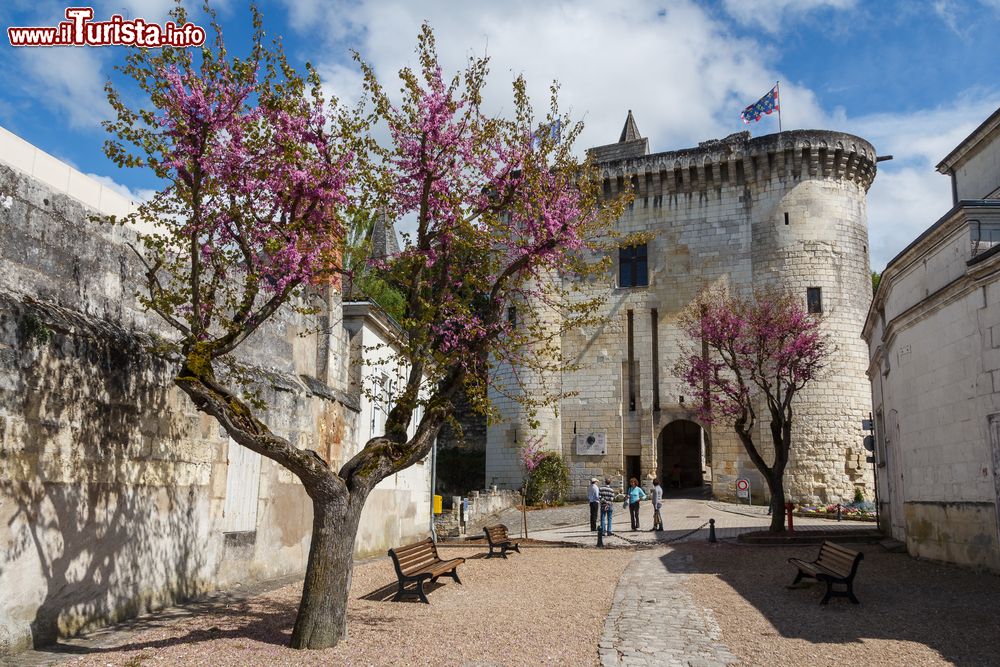 Immagine Le mura medievali e il Castello di Loches, Valle della Loir (Francia)