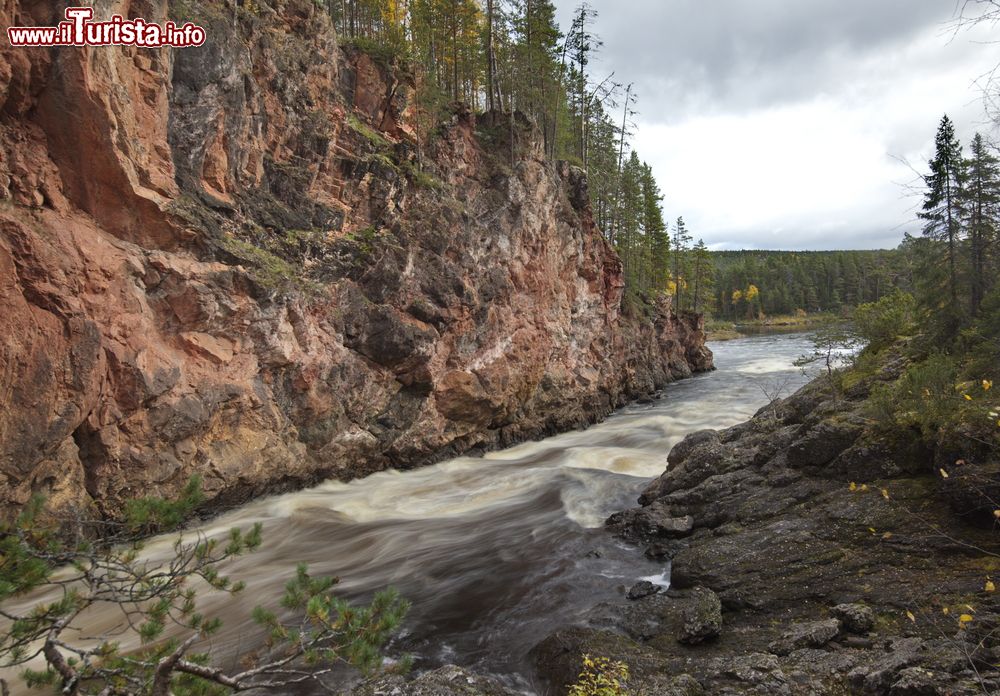 Immagine Le rapide Kiutakongas all'Oulanka National Park, Kuusamo, Finlandia. Il fiume che scorre nella gola di questo parco si presenta con un'acqua scura per via del tannino qui disciolto.