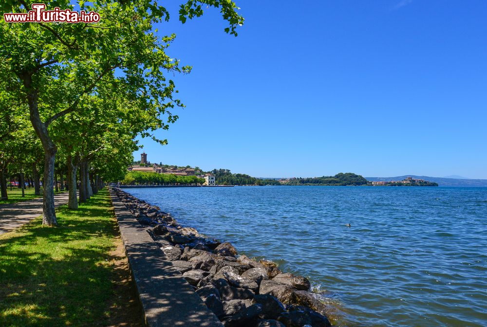 Immagine Le rive sud del Lago Bolsena nei pressi di Marta