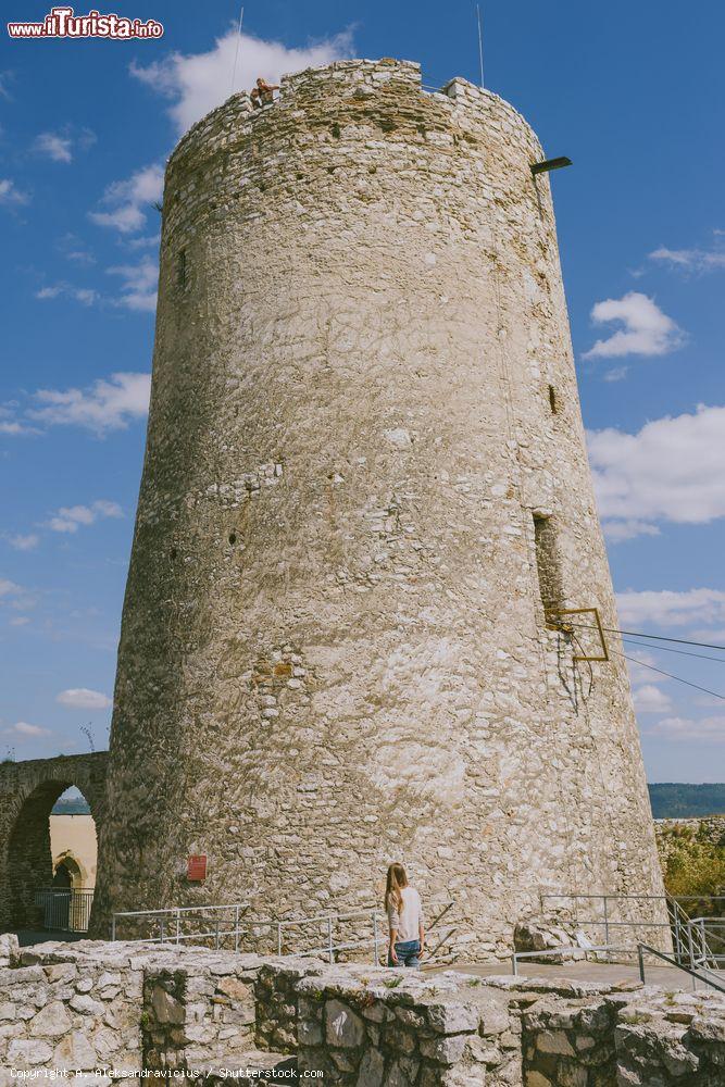 Immagine Le rovine del castello di Spis a Zehra, Slovacchia. L'aspetto decadente ma allo stesso tempo elegante del castello rendono questa attrazione cittadina ricca di fascino e mistero - © A. Aleksandravicius / Shutterstock.com