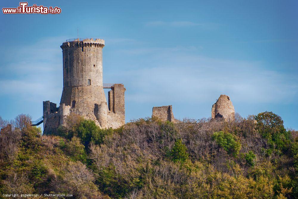 Immagine Le rovine di Elea-Velia presso la Marina di Ascea in Campania - © gigadesign / Shutterstock.com