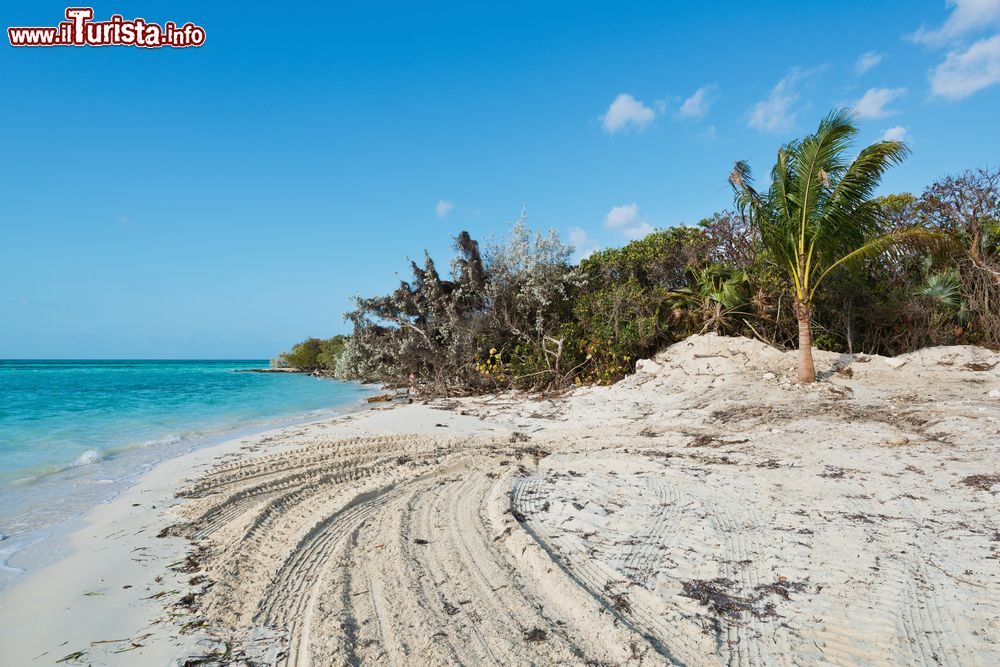 Immagine Le sabbie bianche delle isoie di Berry Islabds alle Bahamas