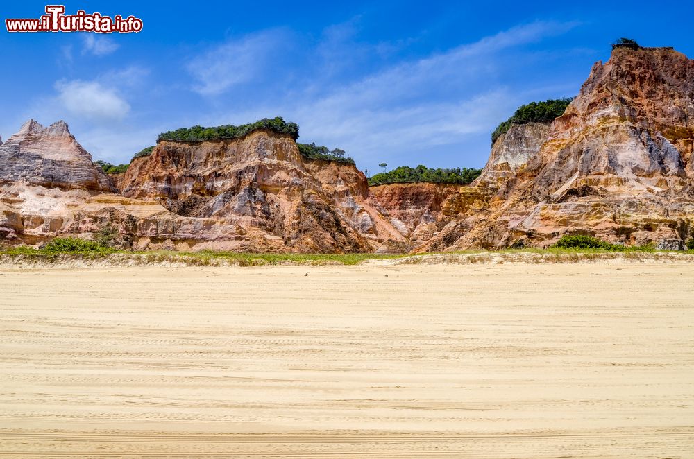 Immagine Le spettacolari scogliere vicino alla spiaggia di Gunga nello stato di Alagoas, Brasile.