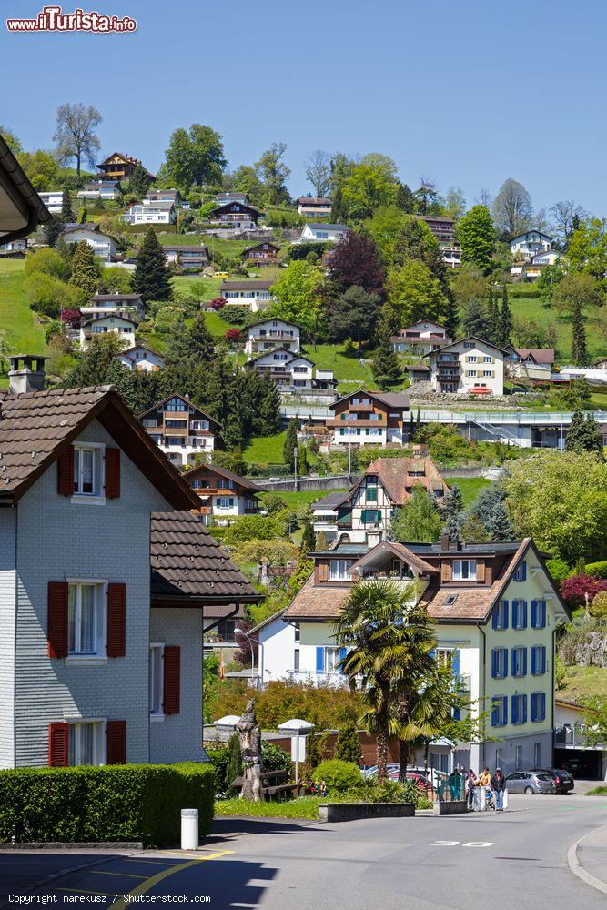 Immagine Le tradizionali abitazioni di Weggis, Svizzera. Il paese offre quiete e relax in un bel panorama lacustre e montano - © marekusz / Shutterstock.com