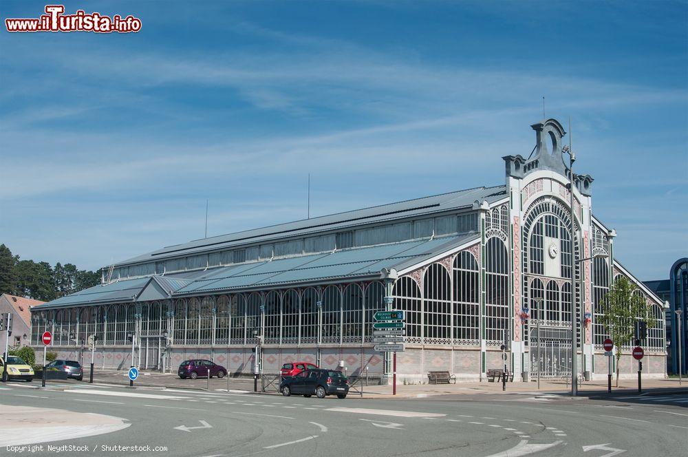 Immagine L'edificio che ospita il mercato cittadino a Belfort, Francia. Lo stile architettonico è quello del 1900 - © NeydtStock / Shutterstock.com