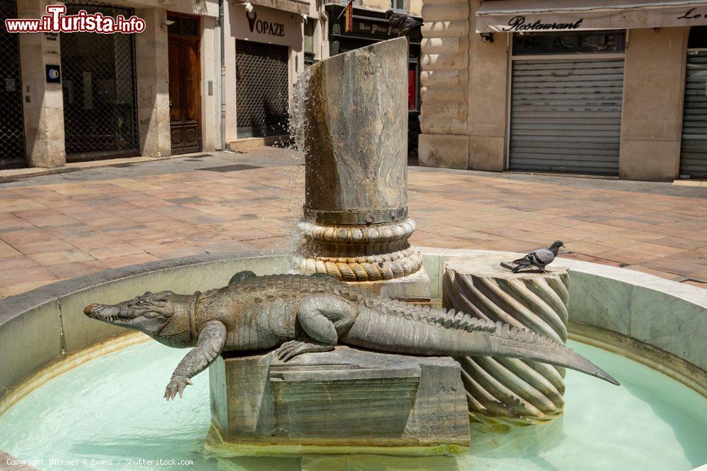 Immagine L'emblema di Nimes, Francia: il coccodrillo e la palma - © Michael R Evans / Shutterstock.com