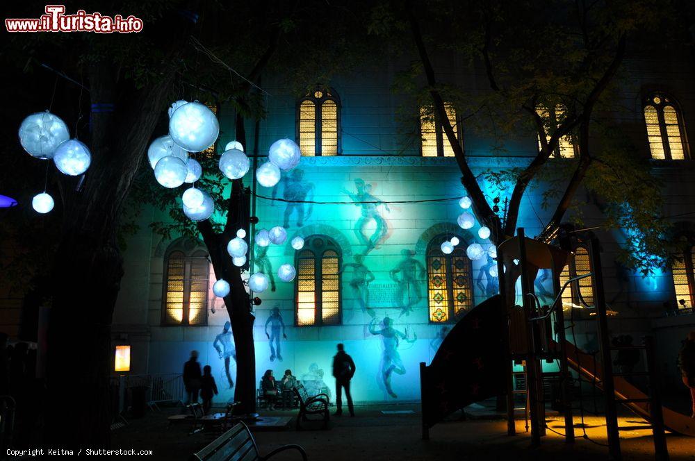 Immagine Lione (Lyon) Francia: un'installazione luminosa della Festa delle Luci (Fête des Lumières) - foto © Keitma / Shutterstock.com