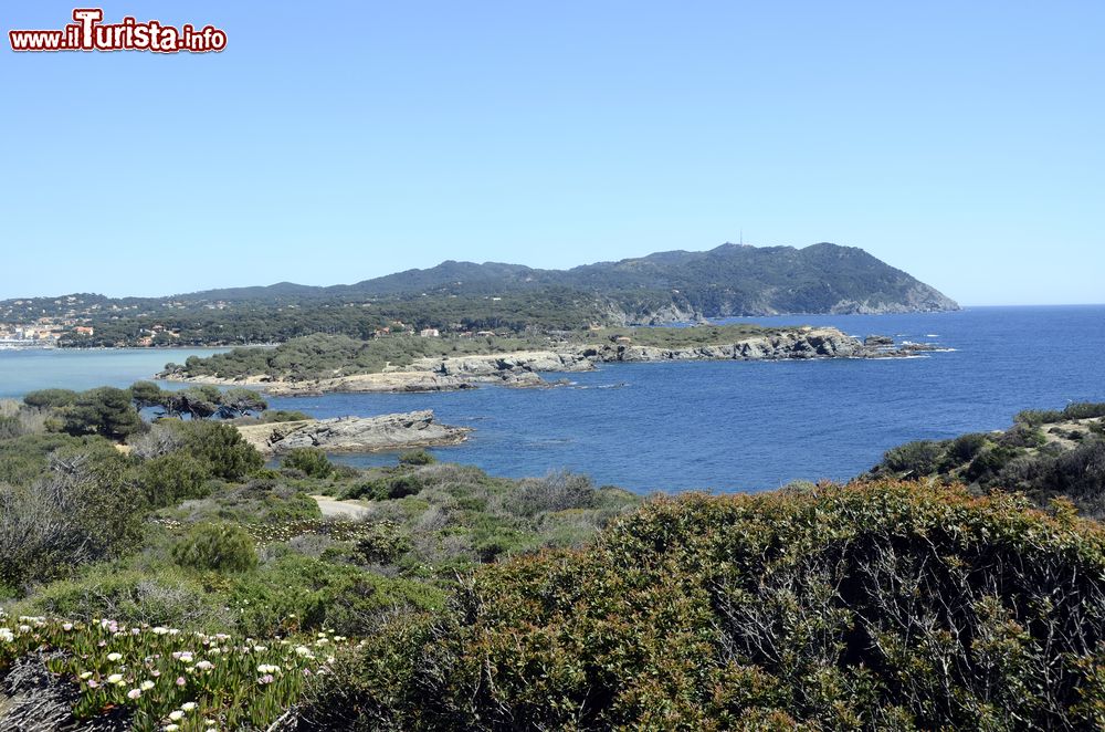 Immagine L'isola di Embiez fotografata dall'alto, Francia. Questo gioiello immerso nel blu del mare ha insenature segrete, scogliere, acque cristalline, macchia Mediterranea e persino vigneti.