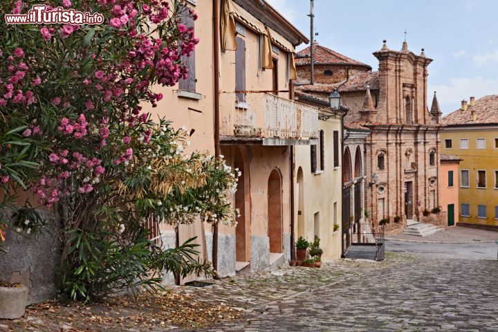 Immagine Città di Longiano con oleandri fioriti, Emilia Romagna, Italia. Una delle strade lastricate del borgo su cui si affacciano le abitazioni e la chiesa parrocchiale. A impreziosire il paesaggio sono gli alberi fioriti e profumati - © ermess / Shutterstock.com