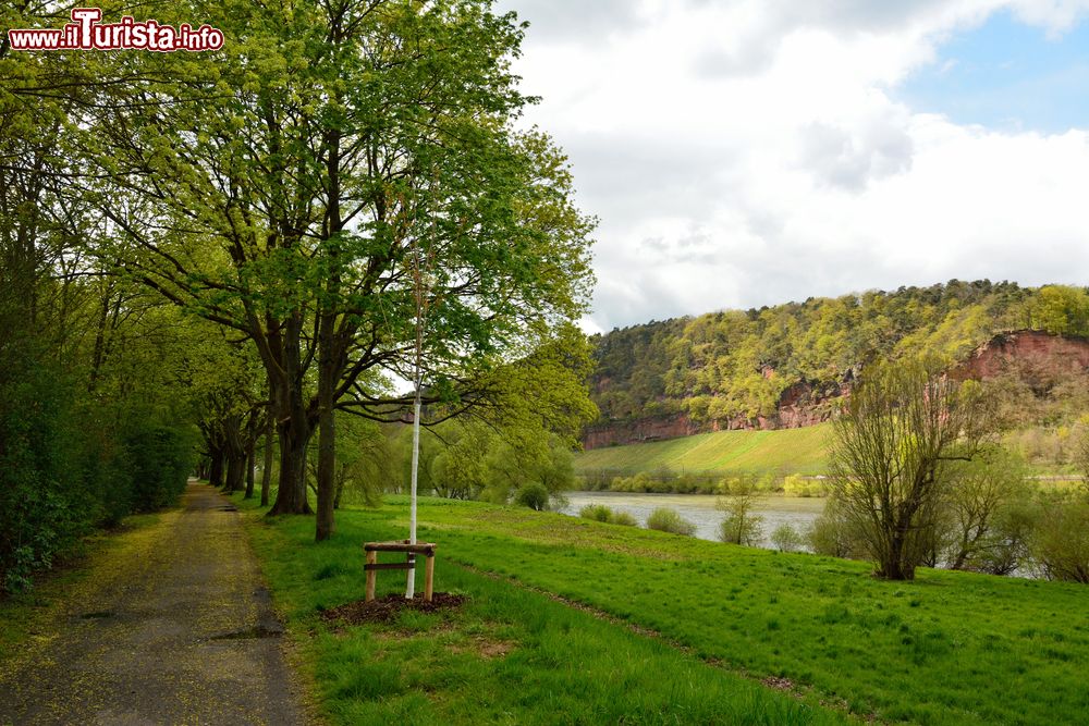 Immagine Il lungofiume della Mosella (Mosel in tedesco) nella città di Treviri (Trier). Siamo nel Land della Renania-Palatinato (Germania), vicino al confine con il Lussemburgo.