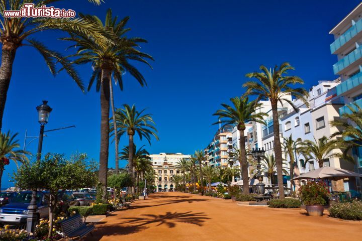 Immagine Lungomare a Lloret de Mar, Spagna - Casinò, discoteche, alberghi e ristoranti: a Lloret de Mar non manca proprio nulla, nemmeno una splendida passeggiata lungomare che contribuisce a rendere questa cittadina della Costa Brava una delle perfette capitali catalane del divertimento © Gert Hochmuth / Shutterstock.com