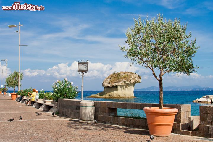 Immagine Il lungomare di  Lacco Ameno e la celebre roccia a forma di fungo dell'isola di Ischia - © Mariya Siyanko / Shutterstock.com