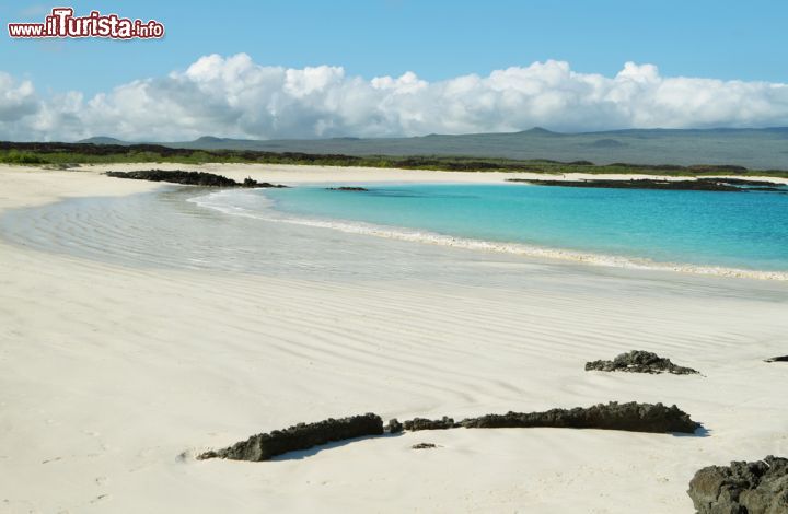 Immagine La magica spiaggia di Cerro Brujo si trova sull'isola San Cristobal nell'arcipelago delle Galapagos. Il bianco della sabbia, lambita da acque cristalline e impreziosita da formazioni rocciose laviche, crea un contrasto di colori difficilmente trovabile altrove - © Marisa Estivill / Shutterstock.com