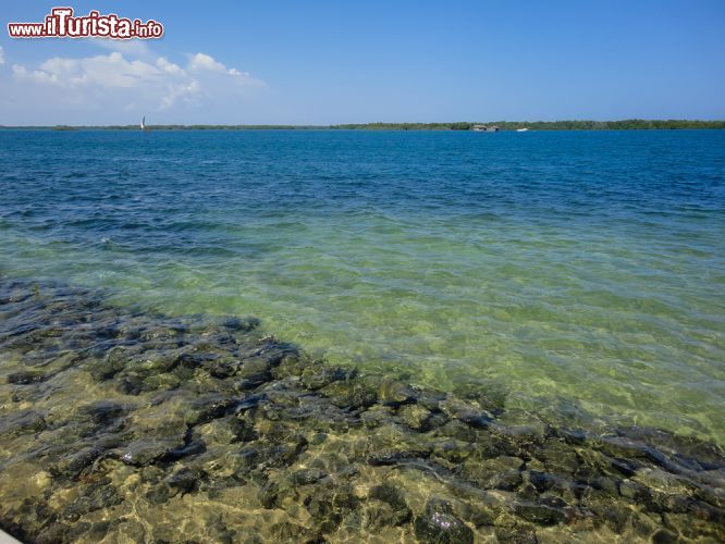 Immagine Il mare dell'isola di Lamu, Kenya - Lamu è la più grande delle isole che compongono l'omonimo arcipelago ed è situato nela costa settentrionale del Kenya, circondata dal mare dell'oceano Indiano. Grazie alla sua incredibile bellezza e alla sua atmosfera senza tempo, Lamu è stata dichiarata "Patrimonio dell'Umanità" dall'UNESCO.  - © Ammonite / Shutterstock.com
